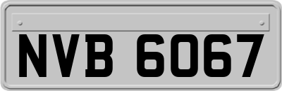 NVB6067
