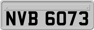NVB6073