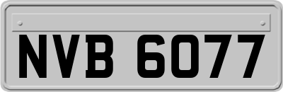 NVB6077