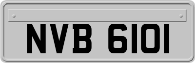 NVB6101