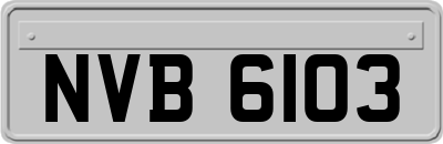 NVB6103