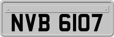 NVB6107