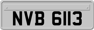 NVB6113