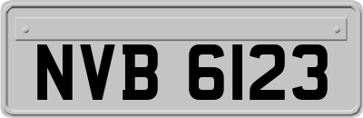NVB6123