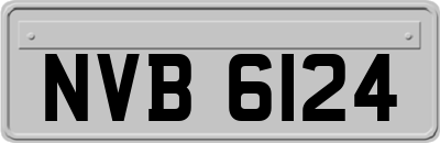 NVB6124