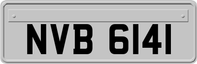 NVB6141