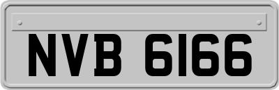 NVB6166