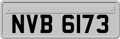 NVB6173