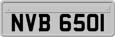 NVB6501