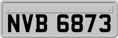 NVB6873
