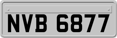 NVB6877