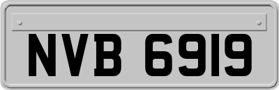 NVB6919