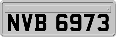NVB6973