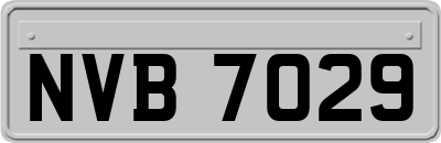 NVB7029