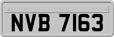 NVB7163