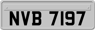 NVB7197