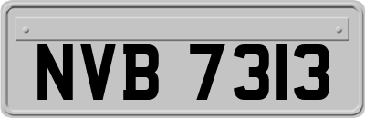 NVB7313