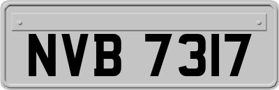 NVB7317