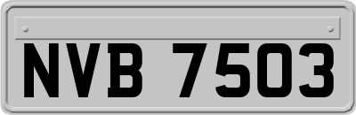 NVB7503