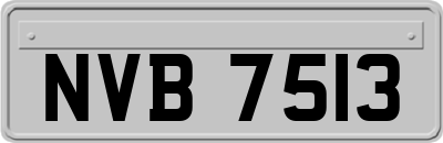 NVB7513