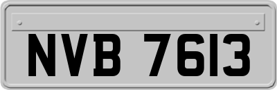 NVB7613