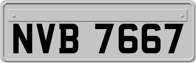 NVB7667