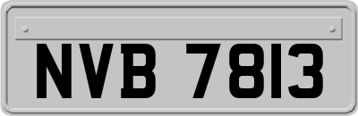 NVB7813