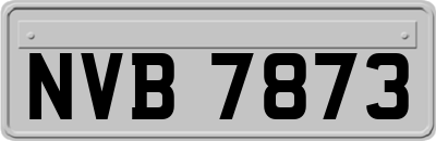 NVB7873