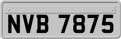 NVB7875