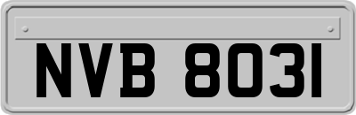 NVB8031