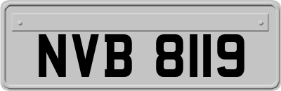 NVB8119