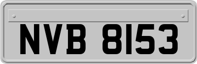NVB8153