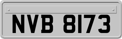 NVB8173
