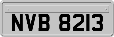 NVB8213