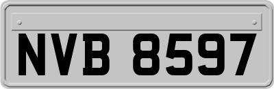 NVB8597