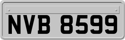 NVB8599