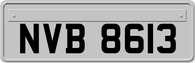 NVB8613