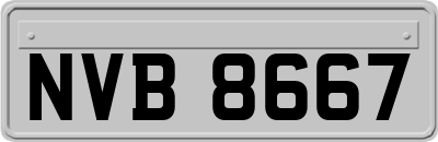 NVB8667