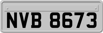 NVB8673