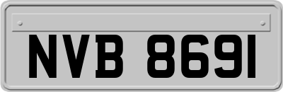 NVB8691
