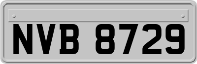 NVB8729