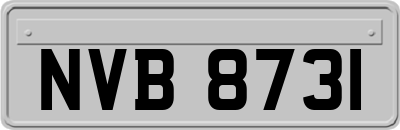 NVB8731