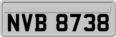 NVB8738