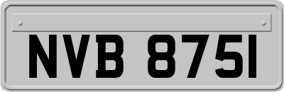 NVB8751