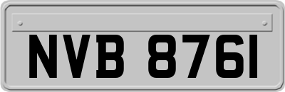 NVB8761