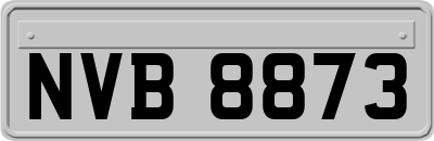 NVB8873