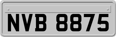 NVB8875
