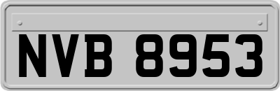 NVB8953