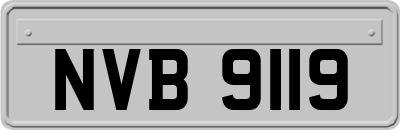 NVB9119