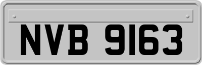 NVB9163